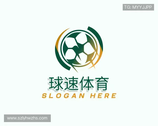 解读球速体育登录